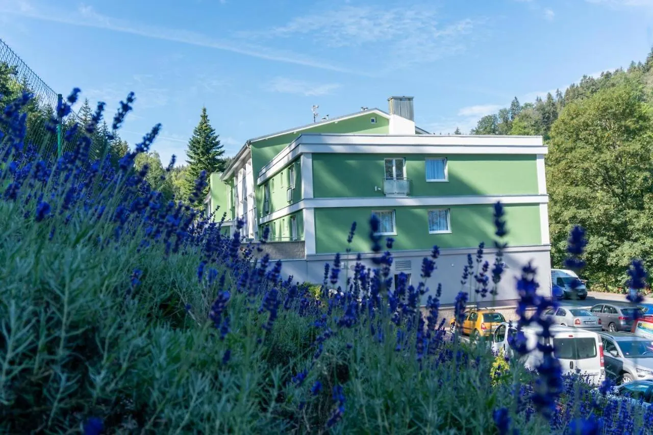 Wellness Hotel Green Paradise Pirkenhammer 4*,  Czechy