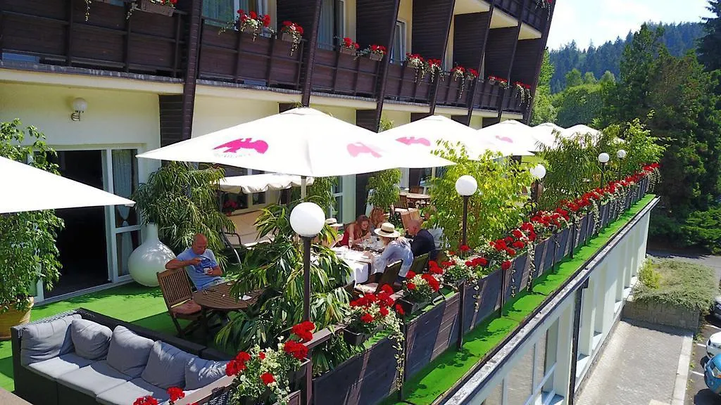 Wellness Hotel Green Paradise Pirkenhammer Czechy
